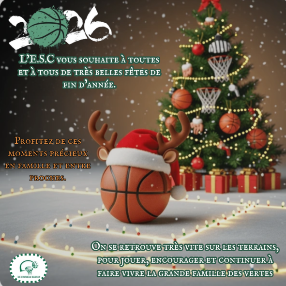 Joyeuses fêtes 🎅🥳